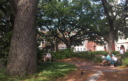 Wright Square in Savannah