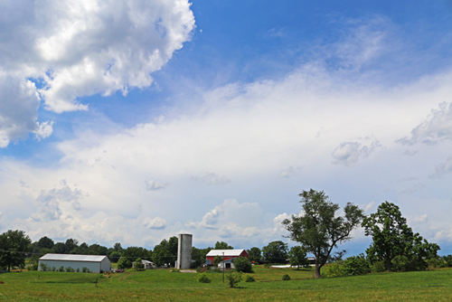 farm view